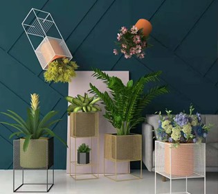 INS風(fēng)網(wǎng)紅花架，給家中添一抹亮麗風(fēng)景