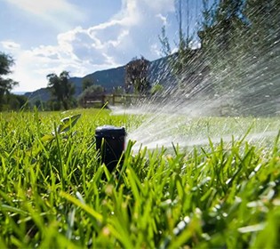 六月養(yǎng)管要點及常見病蟲害防治技術(shù)