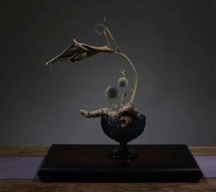 尋常之花，日用之美